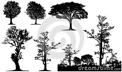 Tree silhouette Stock Photo