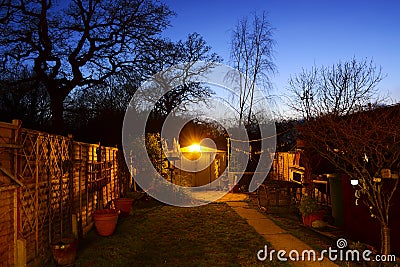 Tree Silhouette and Twilight Garden Stock Photo