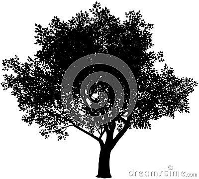 Tree silhouette Vector Illustration