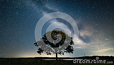 Tree silhouetted against a starry night sky Stock Photo