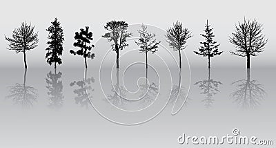 Tree silhouettes Stock Photo