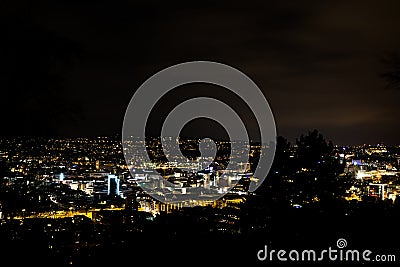 Tree Silouhette Stuttgart Landscape View Night Glowing City Stock Photo