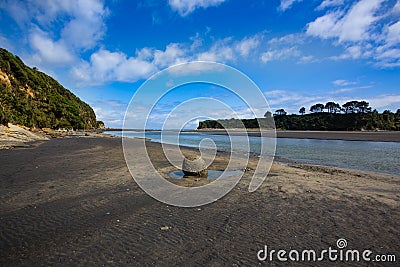 Tree sisters beach, New Zealand Stock Photo