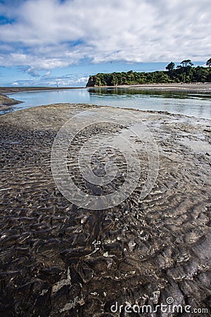 Tree sisters beach, New Zealand Stock Photo