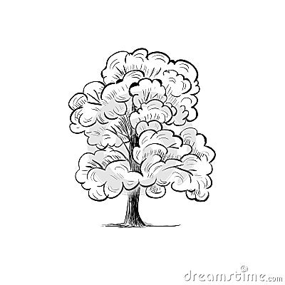 Tree sketch hand drawing. Silhouette tree Vector Illustration