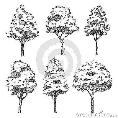 hand drawn sketch architect trees Vector Illustration