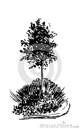 Tree sketch.Vintage illustration, engraved style. Hand drawn ink. Back line drawing Isolated on white background. For landscape Cartoon Illustration