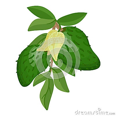 Tree soursop icon cartoon vector. Juice annona Vector Illustration