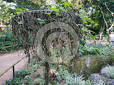 Tree species at Parque Das Aves Stock Photo