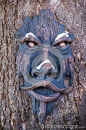 Tree spirit with snow on its nose - dark hanging woody greenman on tree - closeup Stock Photo