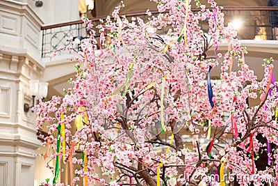 Tree spring blooms white flowers Pink Stock Photo