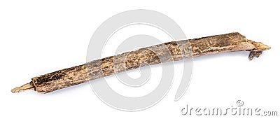 Tree stick isolated Stock Photo