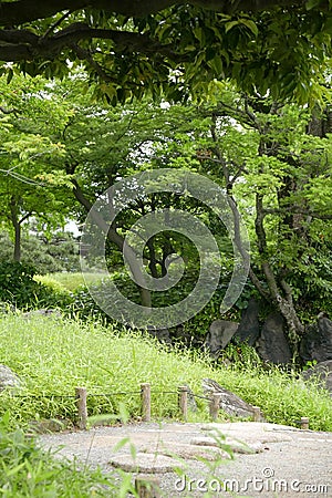 Tree, stone road in Japanese zen garden Stock Photo