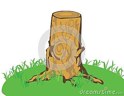 A tree stub Stock Photo