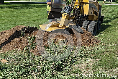 Tree Stump Grinding, Removal, Grinder Stock Photo