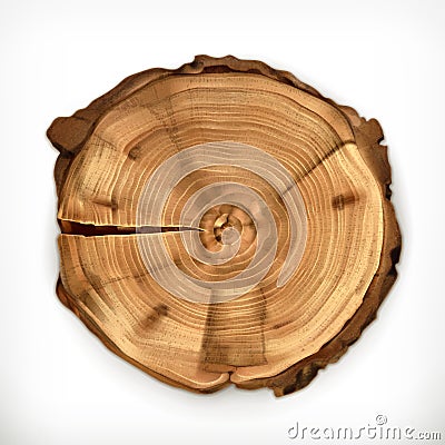 Tree stump, round cut with annual rings Vector Illustration