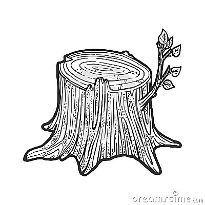 Tree stump with sprout sketch vector illustration Vector Illustration