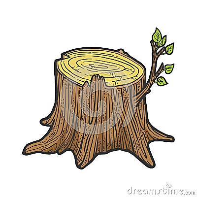 Tree stump with sprout sketch vector illustration Vector Illustration