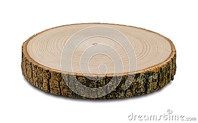 Tree stump wood cross section isolated on white, macro shot. Wooden texture. Tree trunk with good details. Perspective view. Stock Photo