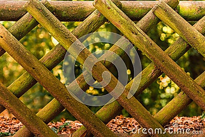 Tree stumps building a fence Stock Photo