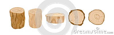 Tree stumps and logs vector illustrations set. Tree trunk parts top and side view. Felled forest, industrial wood Vector Illustration