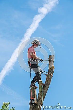 Tree Surgeon standing on top of a tree Stock Photo