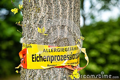 Tree with text vorsicht allergiegefahr durch eichenprozessionsspinner Raupen und Nester nicht berÃ¼hren, in englisch beware of Stock Photo