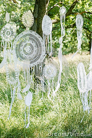 Tree to decorate dream catchers Stock Photo