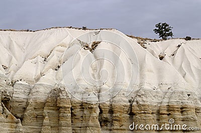 Tree on top of Baglidere canyon,white geological rock formations Stock Photo