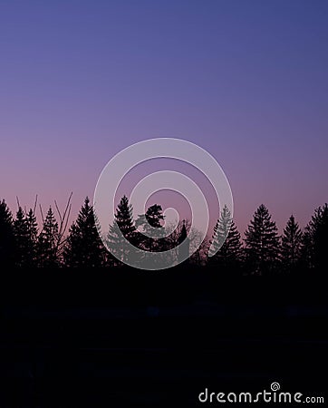 Landscape with gradient sunset sky and trees shilouettes Stock Photo