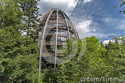 Tree tower, Tree Top Walk, Bavarian Forest National Park, NeuschÃ¶nau, Bavaria, Germany Stock Photo