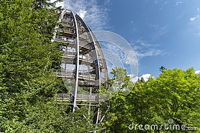 Tree tower, Tree Top Walk, Bavarian Forest National Park, NeuschÃ¶nau, Bavaria, Germany Stock Photo