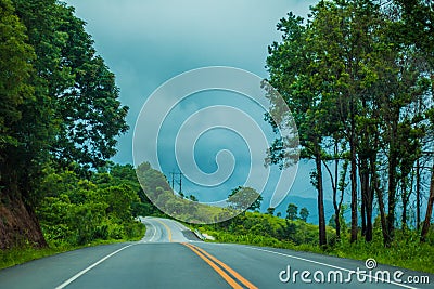 Road and trees along the way Stock Photo