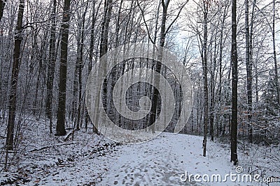 Winter preview Stock Photo