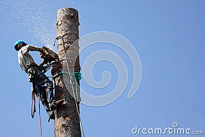 Tree Trimmers Stock Photo