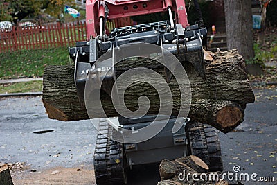 Tree trimming and removal Stock Photo