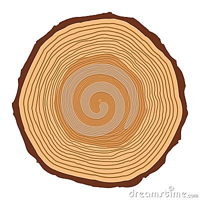 Tree trunk rings design isolated on white background Vector Illustration