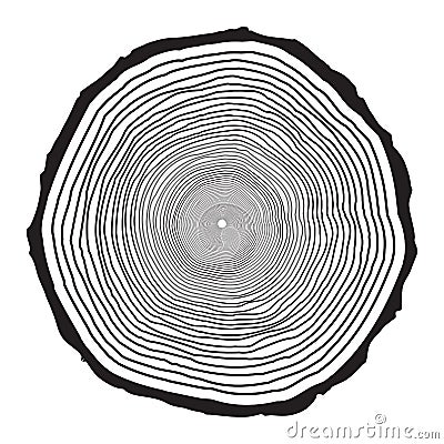 Tree trunk rings design isolated on white background Vector Illustration
