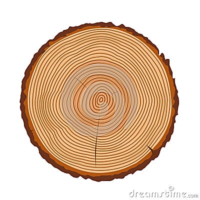 Tree trunk rings vector texture Vector Illustration