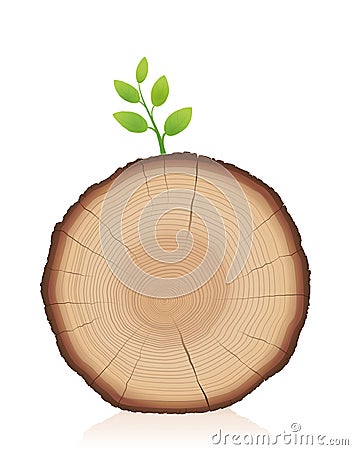 Tree Trunk Sprout Young Branch Sprig Restart Comeback Vector Illustration