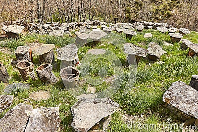 Tree trunks beehives apiary in La Hiruela, Madrid. Spain Stock Photo