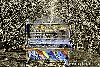 Tree Tunnel Jazz Piano Stock Photo