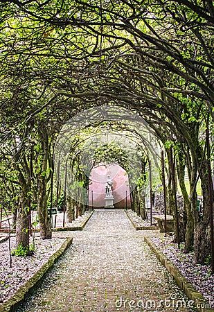 Tree tunnel with walkway and statue Stock Photo