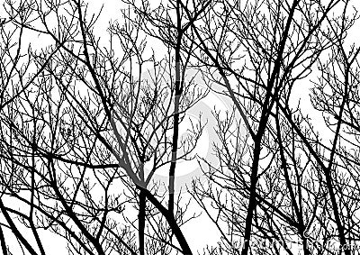 Tree Twigs Silhouette Vector Vector Illustration