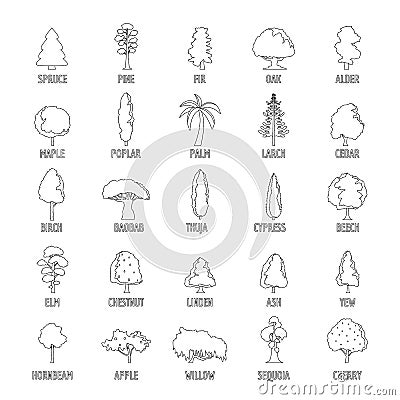 Tree types icons set, outline style Vector Illustration