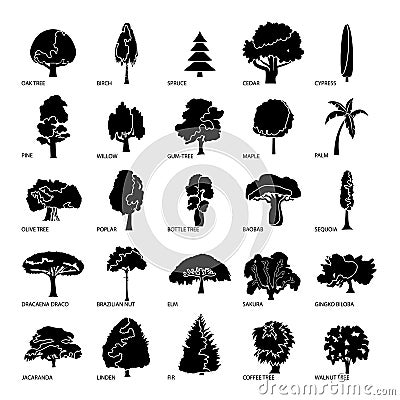Tree types icons set, simple style Vector Illustration