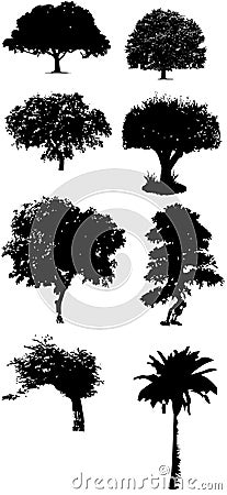Tree silhouette vectors Stock Photo