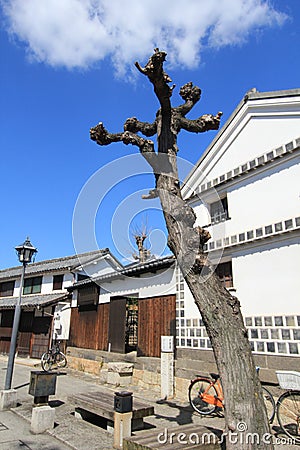 Tree, woody, plant, sky, building, house, facade, branch, roof Editorial Stock Photo