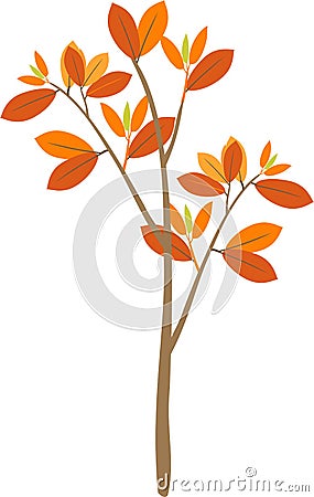 Tree with yellowed leaves Stock Photo