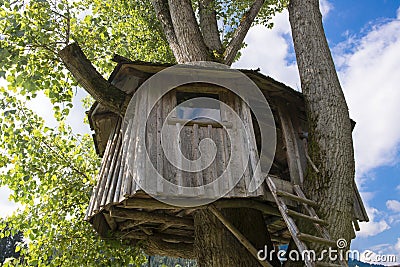 Treehouse Stock Photo